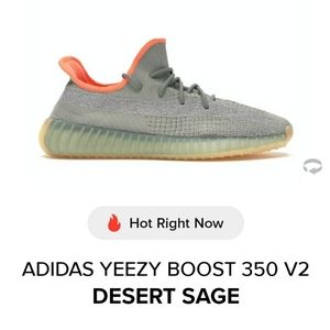 Yeezy desert sage